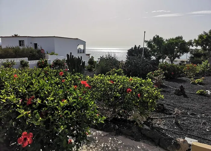 Los Hibiscos 404